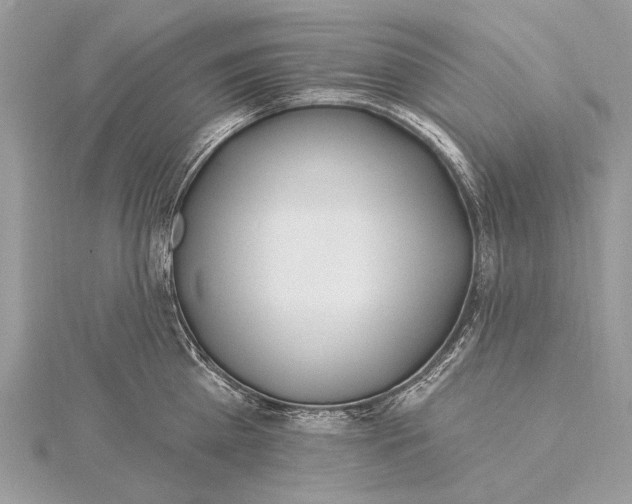 X0000115810809200912041605