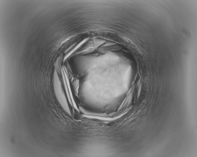 X0000115810822200912041605