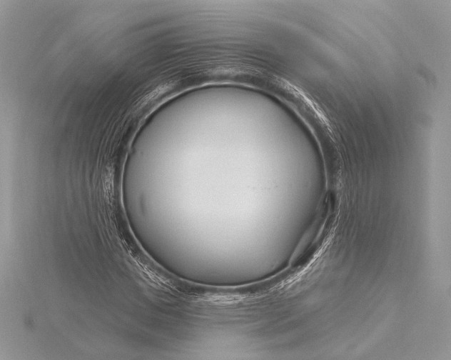 X0000115810825200912041605