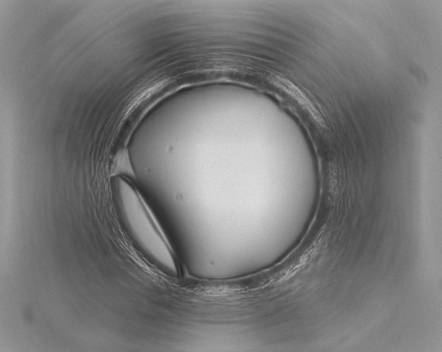X0000115810826200912041605