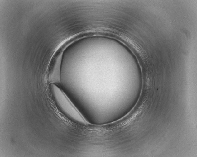 X0000115810830200912041605