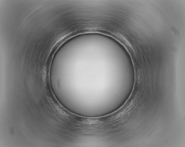 X0000115810831200912041605