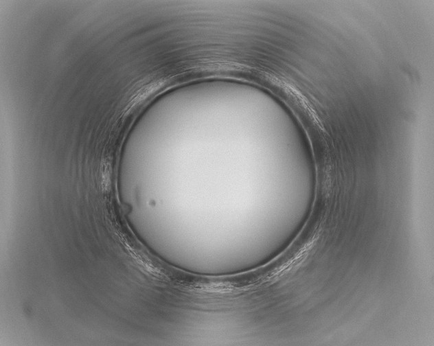 X0000115810833200912041605
