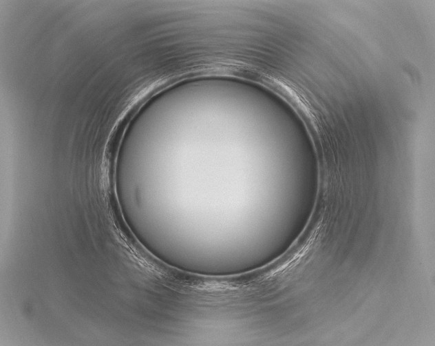 X0000115810835200912041605