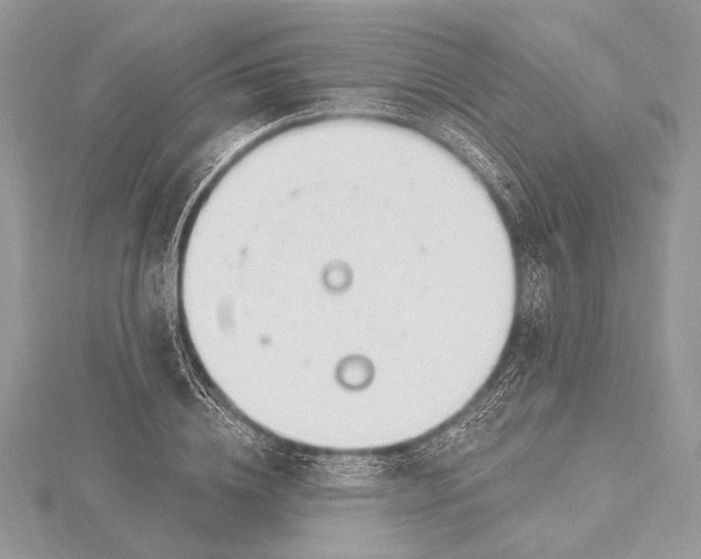 X0000115810836200912041605