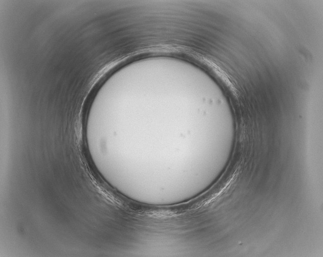 X0000115810837200912041605