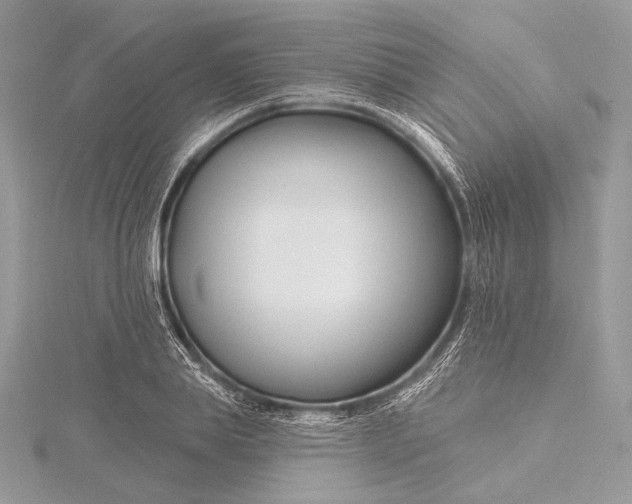 X0000115810839200912041605