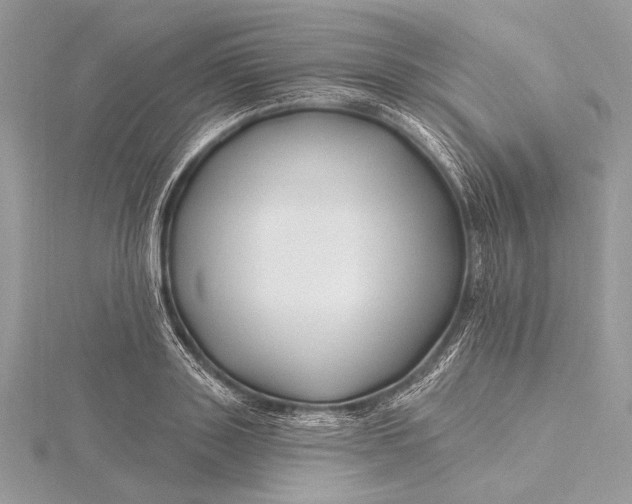 X0000115810843200912041605
