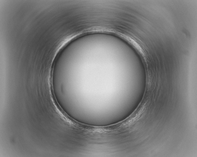 X0000115810847200912041605
