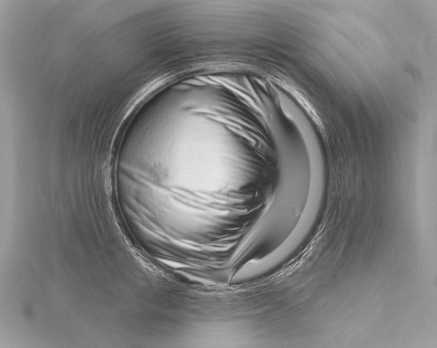 X0000115810853200912041605