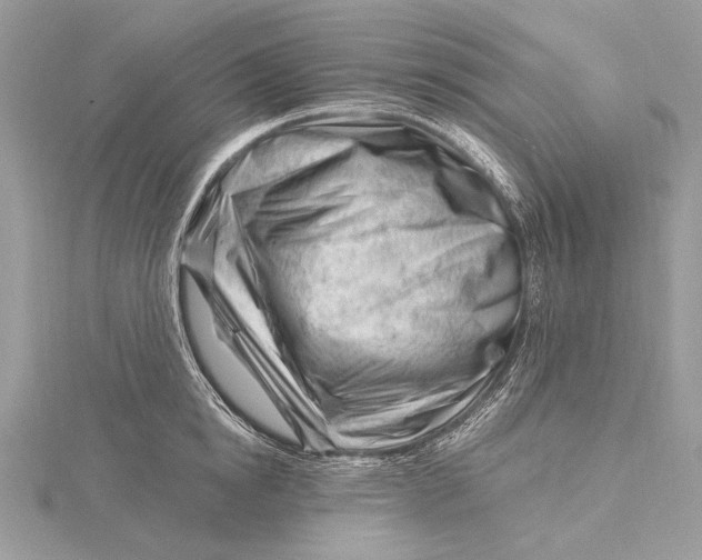 X0000115810854200912041605