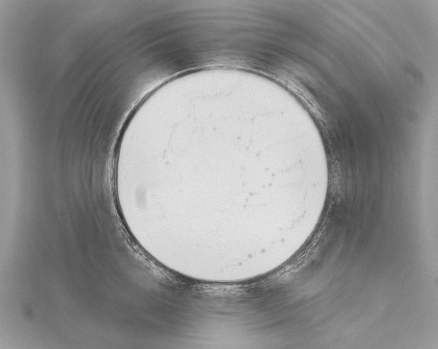 X0000115810856200912041605