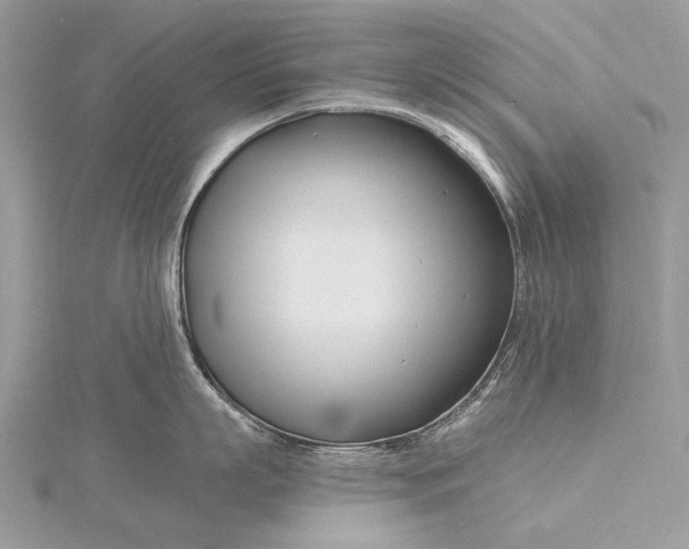 X0000115810863200912041605