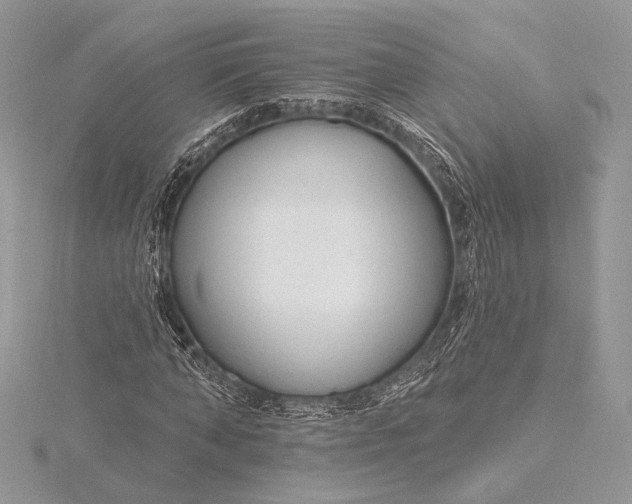 X0000115810870200912041605