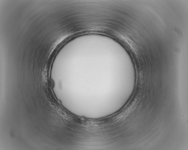 X0000115810875200912041604