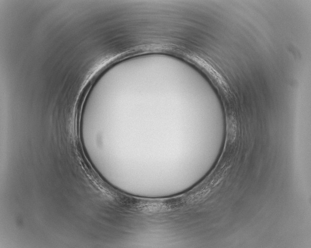 X0000115810886200912041604