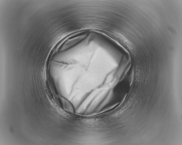X0000115810892200912041604
