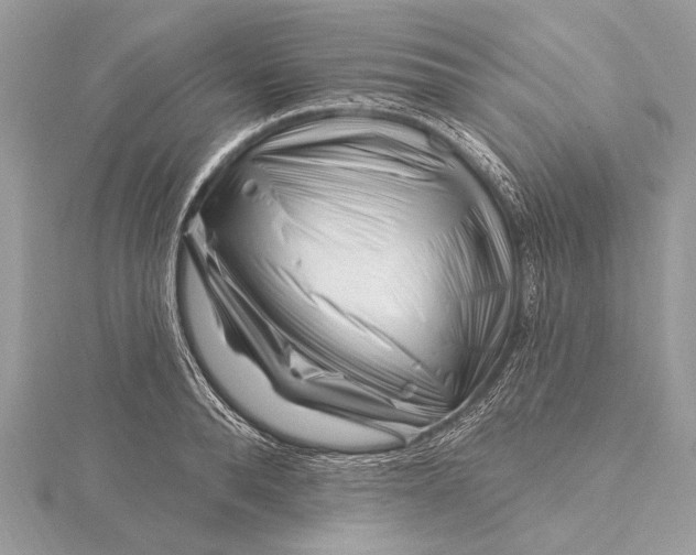 X0000115810896200912041604