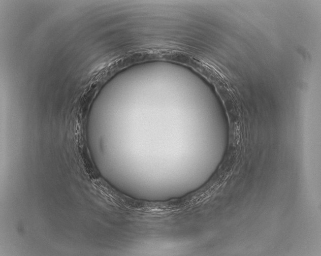X0000115810917200912041603