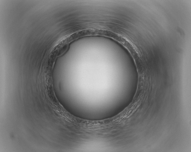 X0000115810919200912041603