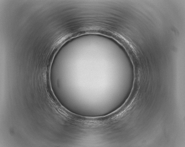X0000115810921200912041603