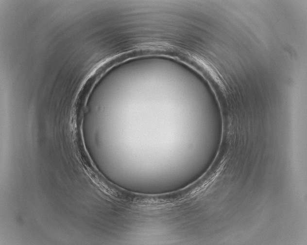 X0000115810923200912041603