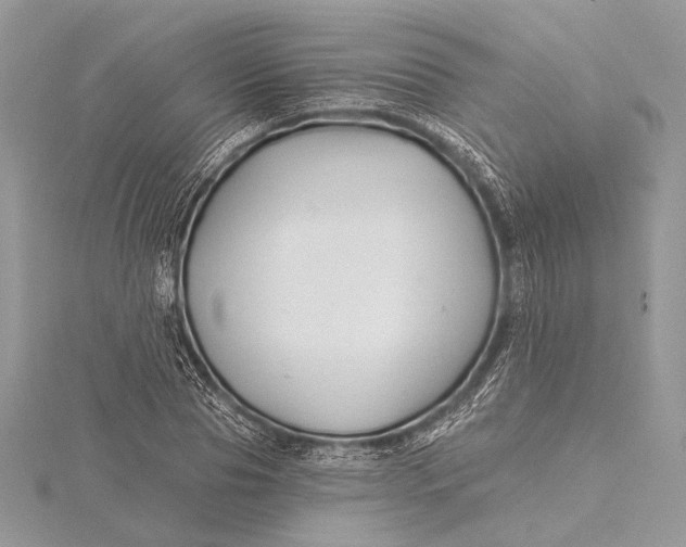 X0000115810929200912041603