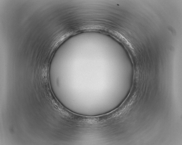 X0000115810937200912041604