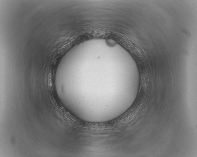 X0000115810962200912041603