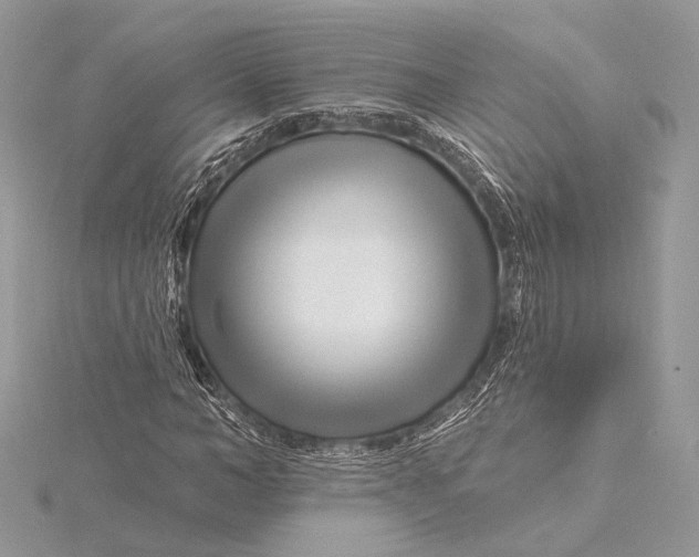 X0000115810966200912041603
