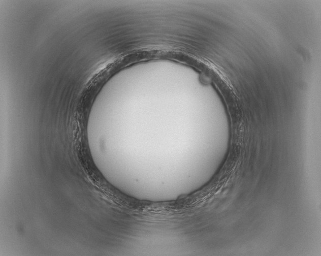 X0000115810967200912041603