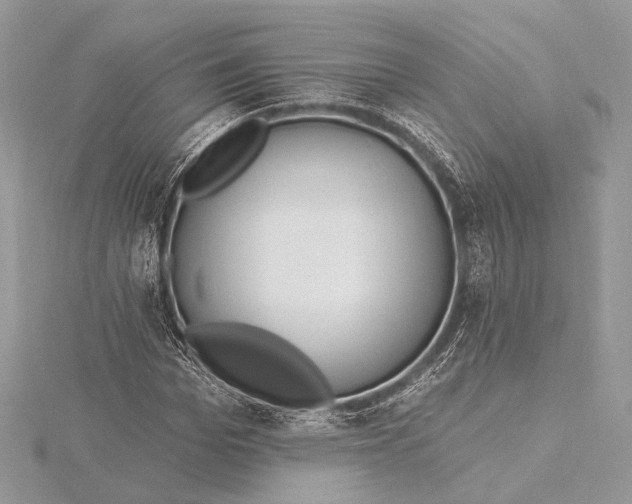 X0000115810969200912041603