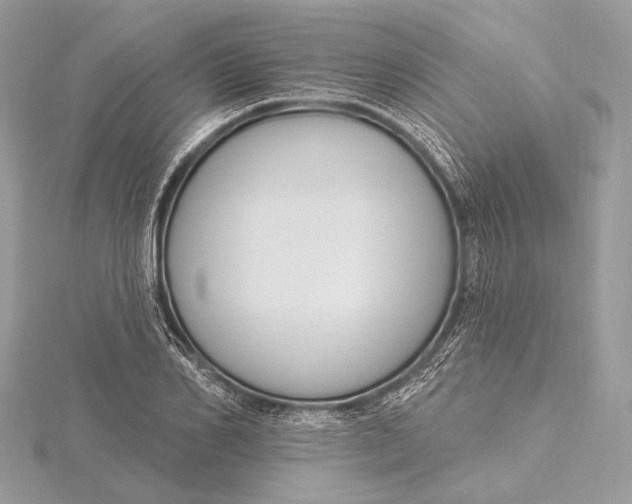 X0000115810982200912041603