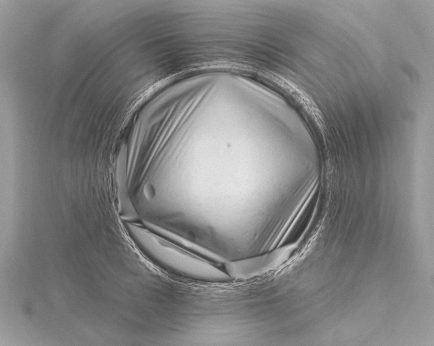 X0000115810993200912041603