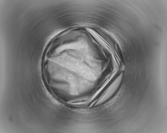 X0000115810995200912041603