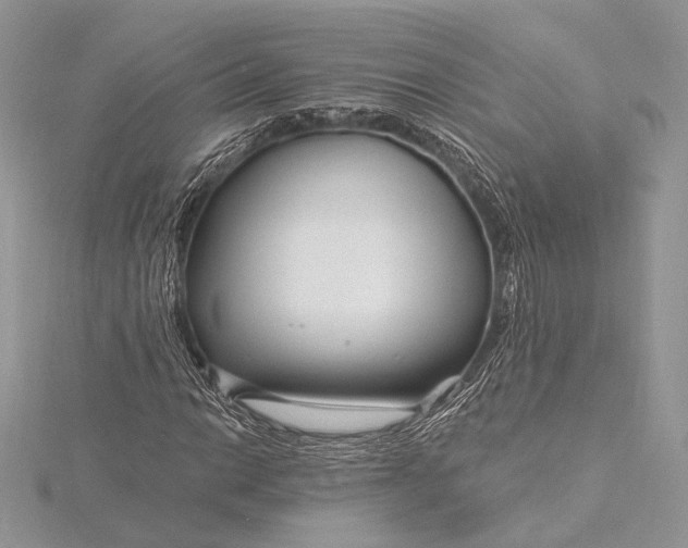 X0000115811014200912041602