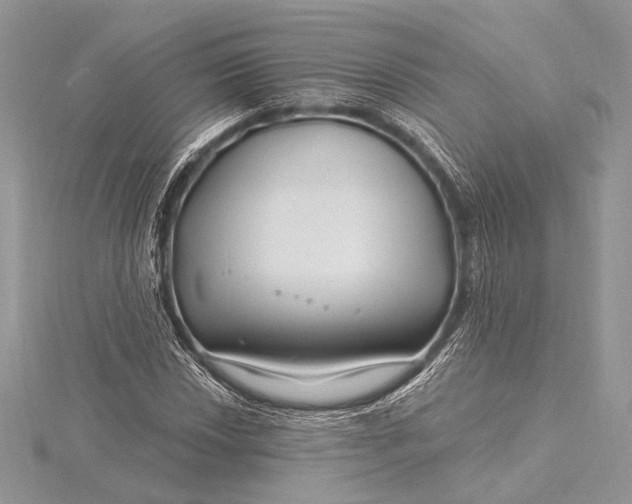 X0000115811018200912041602