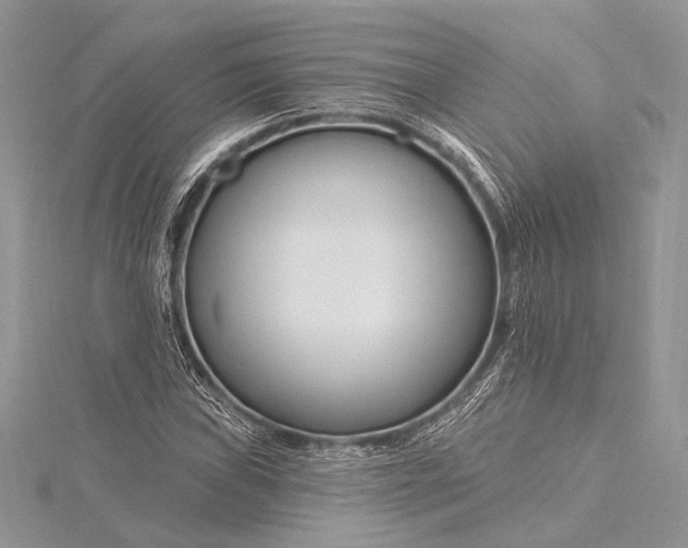 X0000115811019200912041602