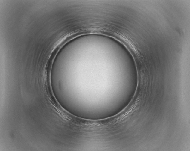 X0000115811023200912041602