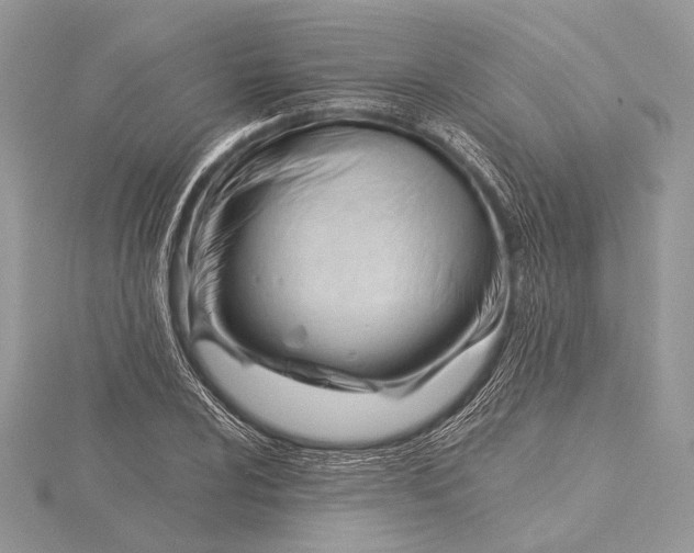 X0000115811024200912041602