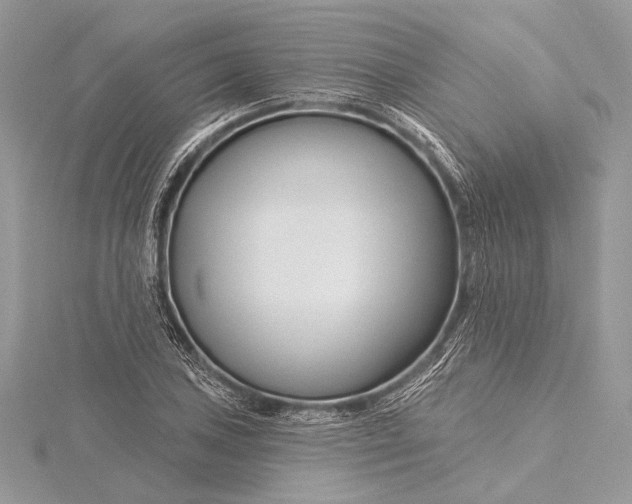 X0000115811027200912041602