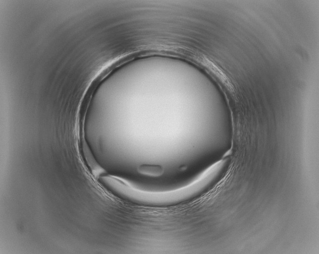 X0000115811028200912041602