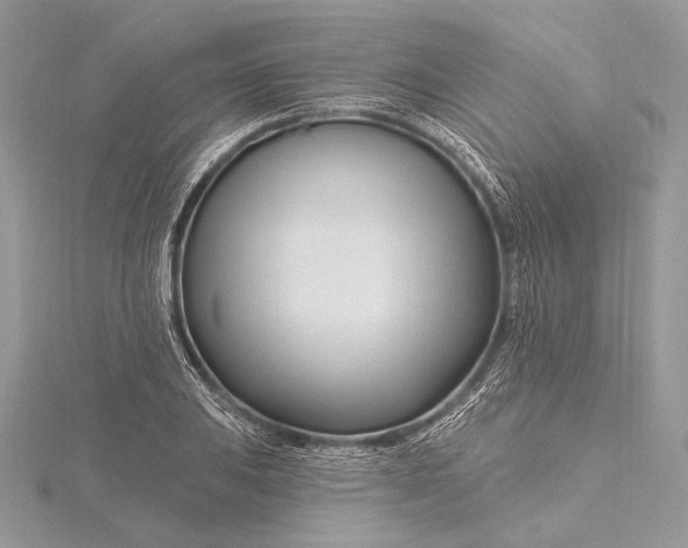 X0000115811031200912041602