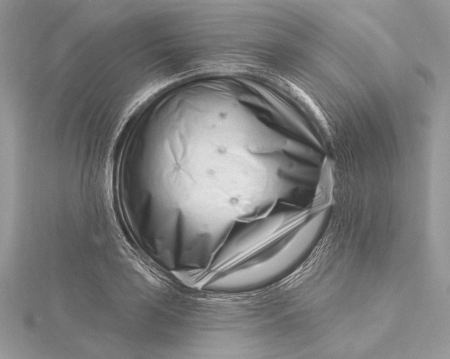 X0000115811035200912041602