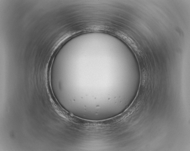 X0000115811039200912041602
