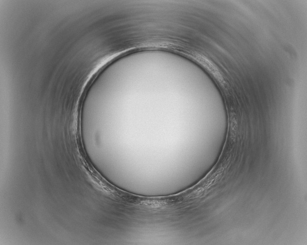 X0000115811044200912041602