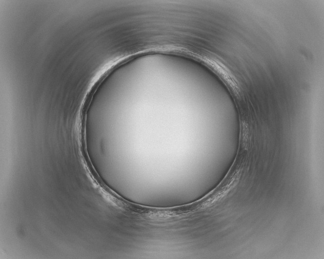 X0000115811046200912041602
