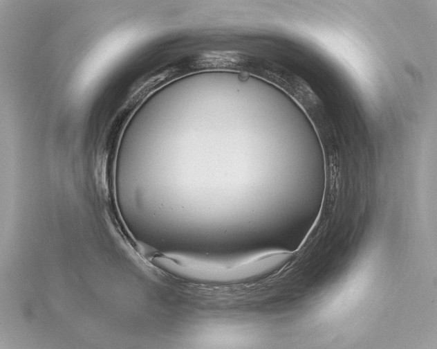 X0000115811054200912041603