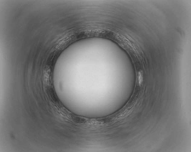 X0000115811059200912041602