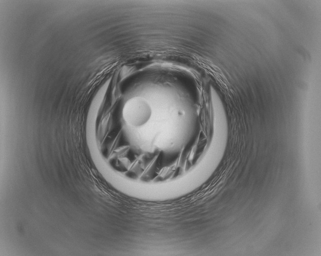 X0000115811060200912041602
